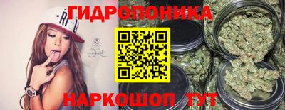 твердый Краснодар