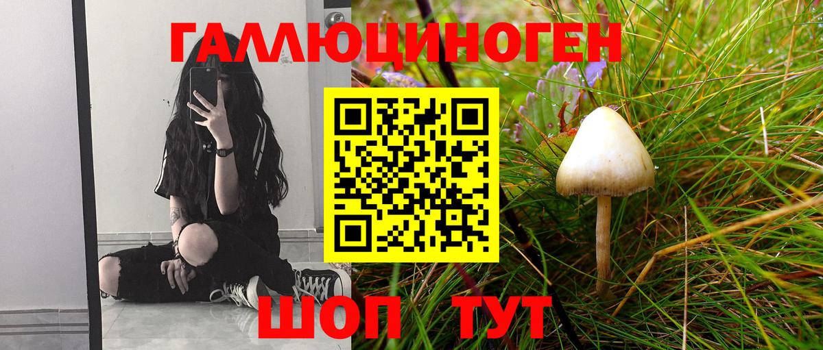 Галлюциногенные грибы мицелий  Вход с VPN  Донской 