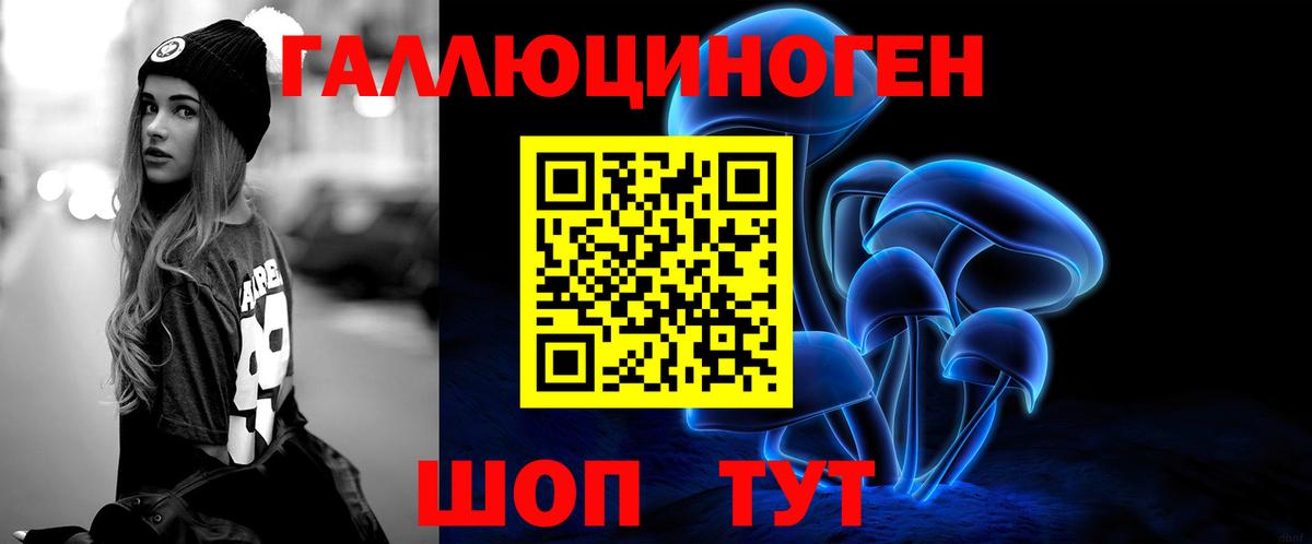 Галлюциногенные грибы Psilocybine cubensis Донской
